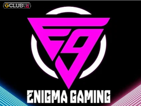 Enigma Gaming กลายเป็นทีม